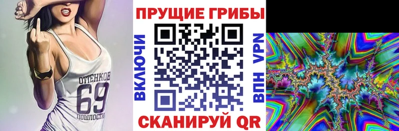 Псилоцибиновые грибы Psilocybine cubensis  Купить закладки  Жуковка 